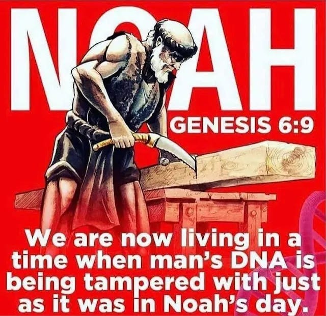 The days of Noah