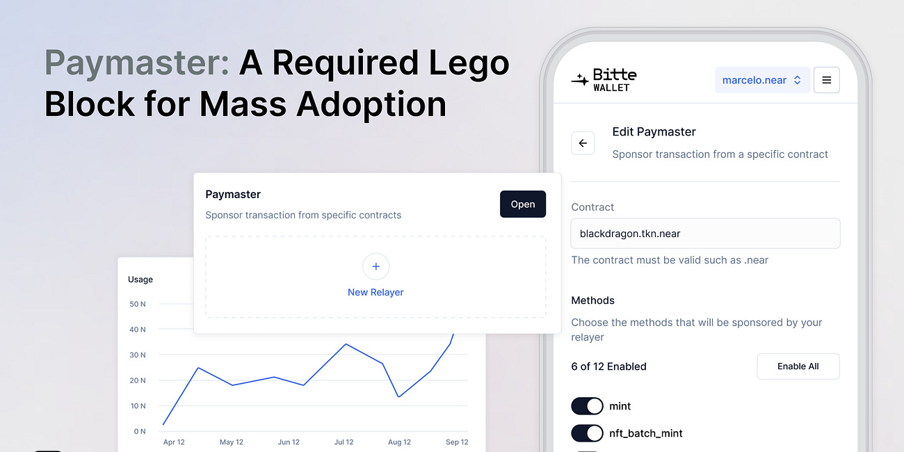 Paymaster: A Required Lego Block for Mass Adoption 