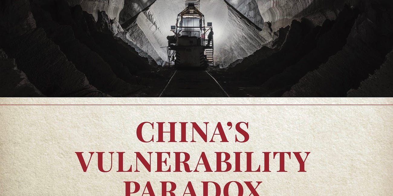 China's Vulnerability Paradox: How the World’s Largest Consumer Transformed Global Commodity Markets (book excerpt)