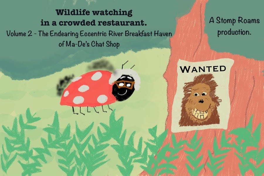 Wildlife Watching in a Crowded Restaurant: The Endearingly Eccentric River Breakfast Haven of Ma-De-Chat Shop