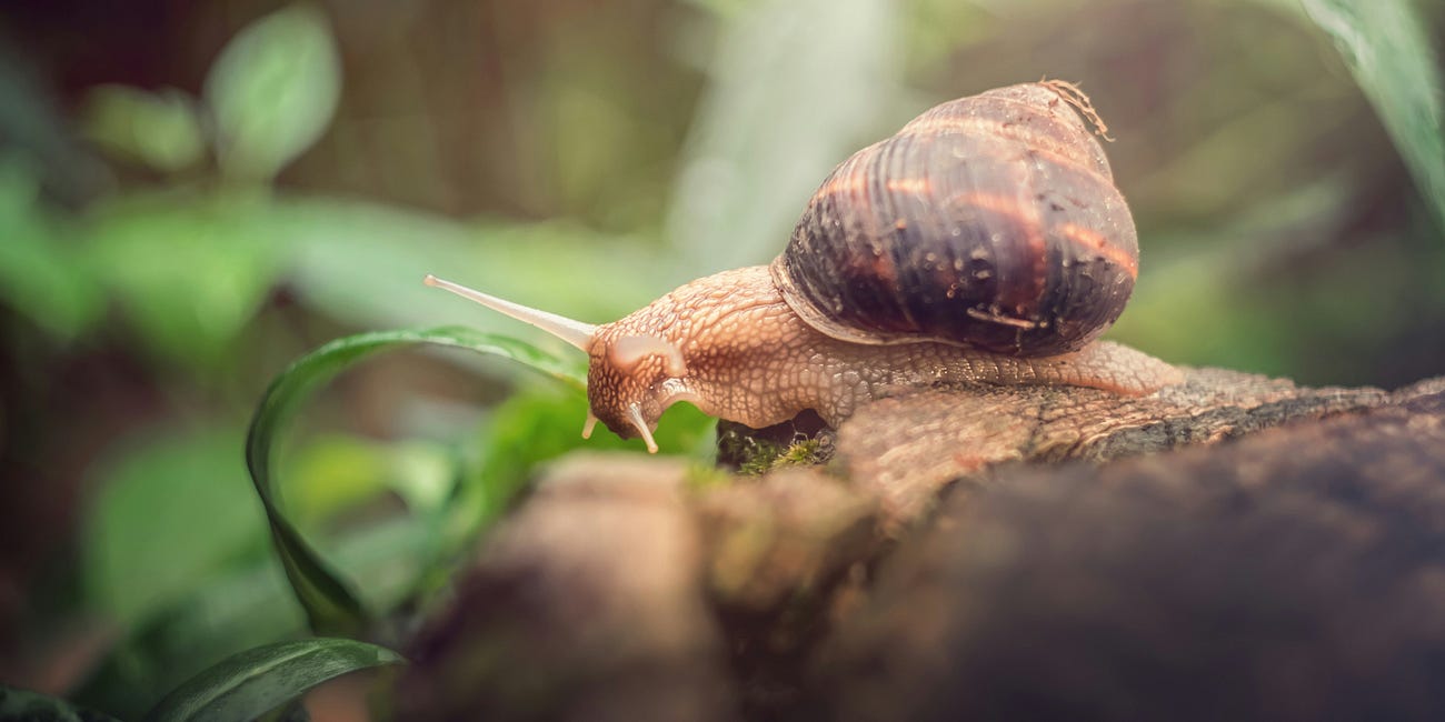 On Slowness