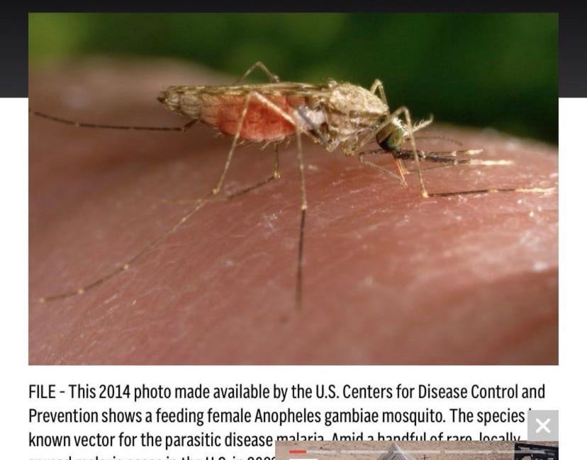 HORROR SHOW UPDATE 2: Are GMO Mosquitos The Reason Florida Issued Statewide Emergency Malaria Alert?