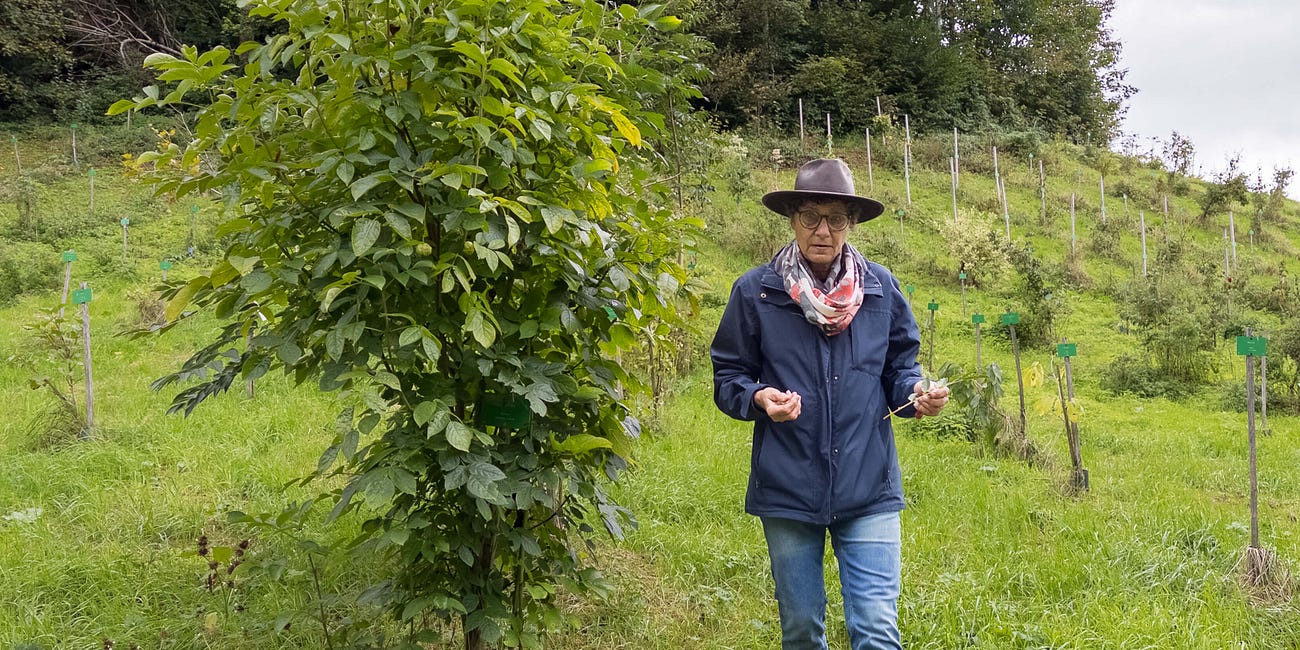 Köstliche Früchte, Beeren und Rezepte in Europas grösster Wildobst-Sammlung