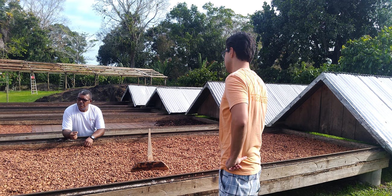 Descobrindo chocolates que preservam florestas brasileiras - uma conversa com Renan Akashi