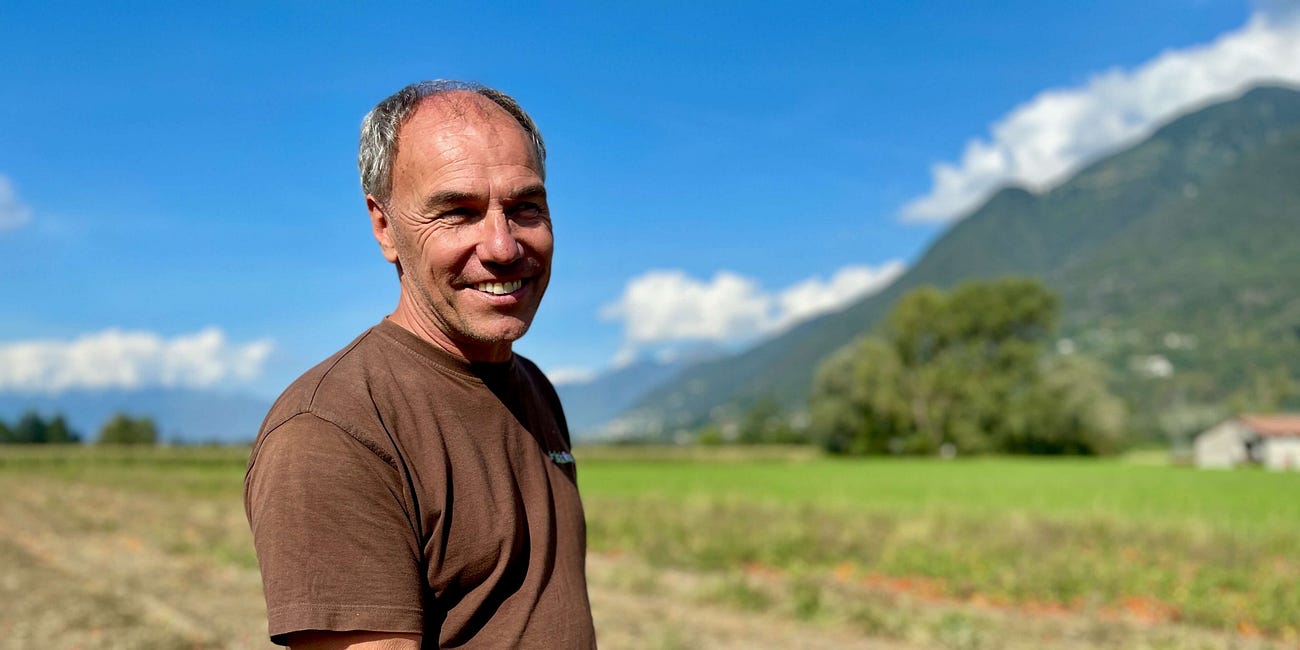 Freiland-Tomaten aus dem Tessiner Pionier-Landwirtschaftsbetrieb Orticola Bassi SA