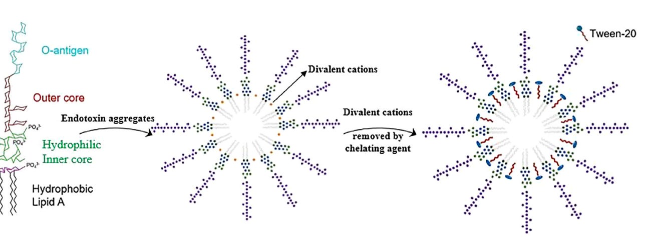 Lipid Nanoparticles, Endotoxin and Detergent Micelles