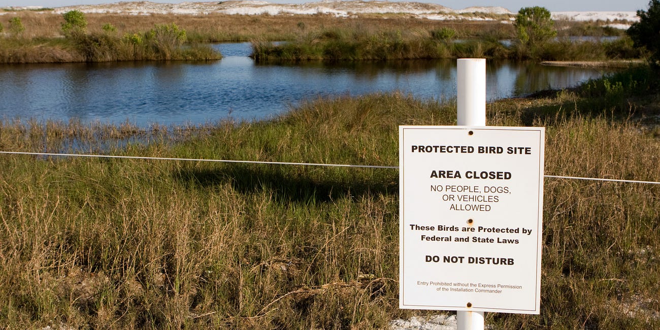 Liberating Public Lands