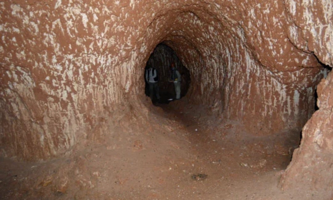 These tunnels were dug by a Giant Ground Sloth that lived 10.000 years ago in Brazil...