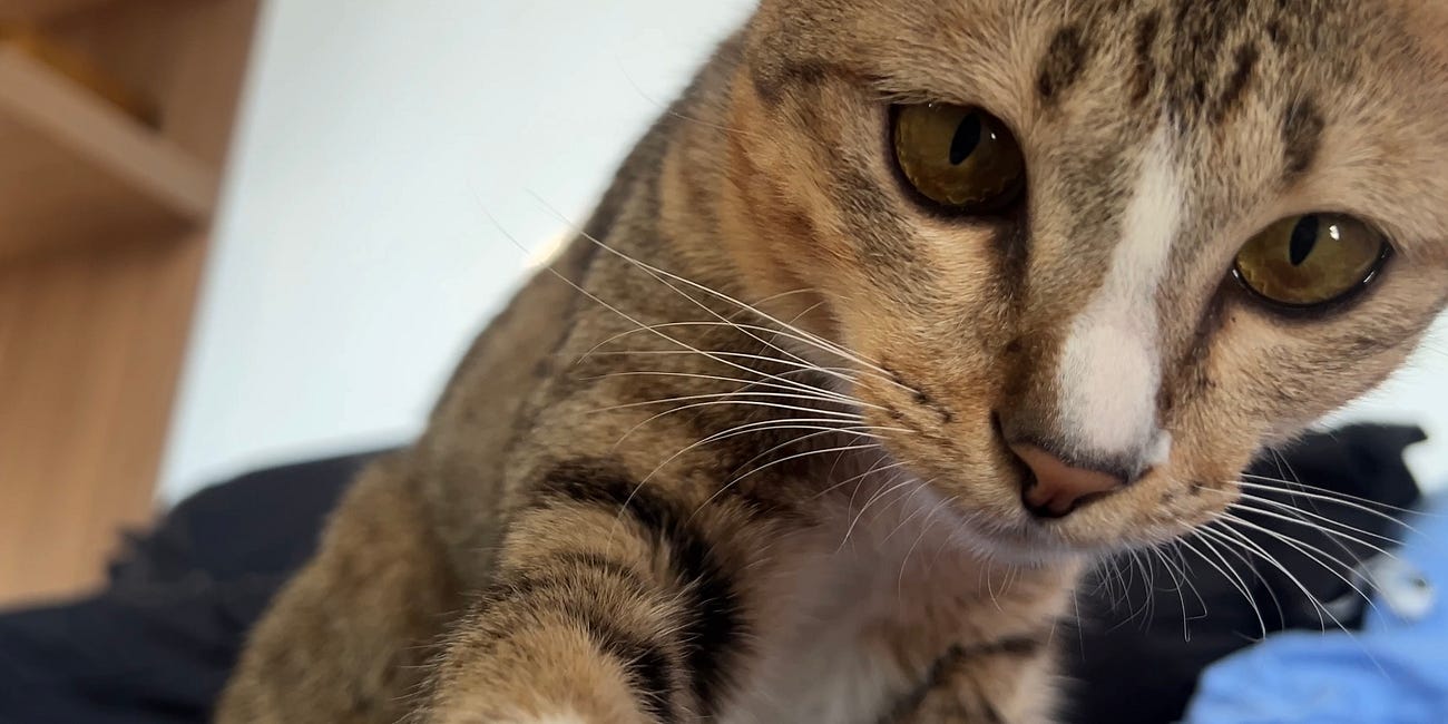 Two Minutes of Cuteness Overload