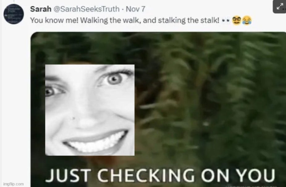 Sarah Moch Stalk and Snitch 2 - Brother A