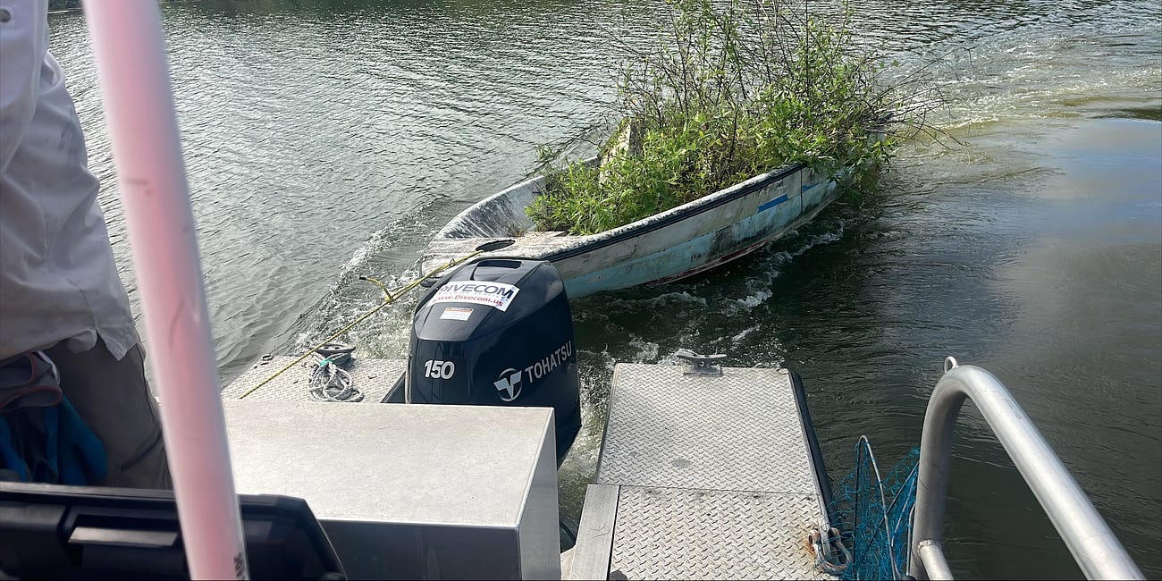 The Environmental Importance of Salvage Recovery in Florida