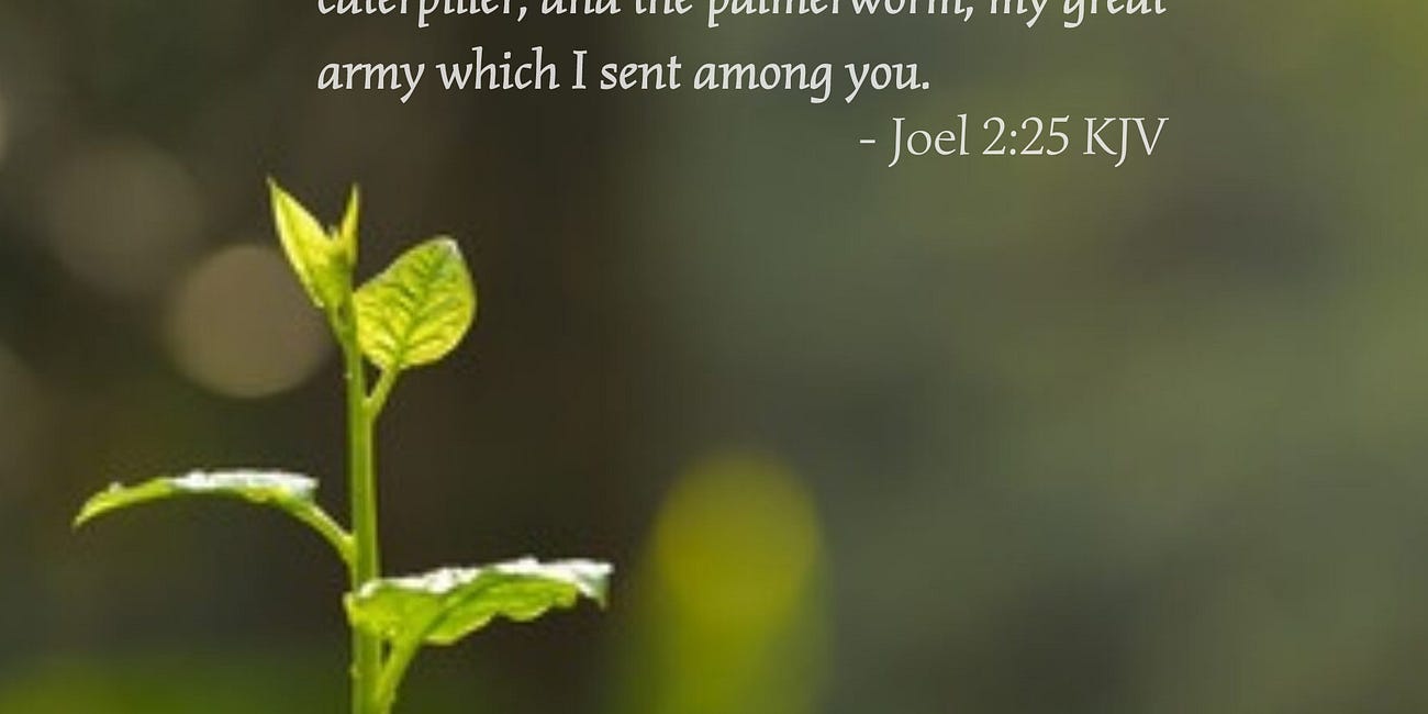 Recovering All• Daily Devo 22