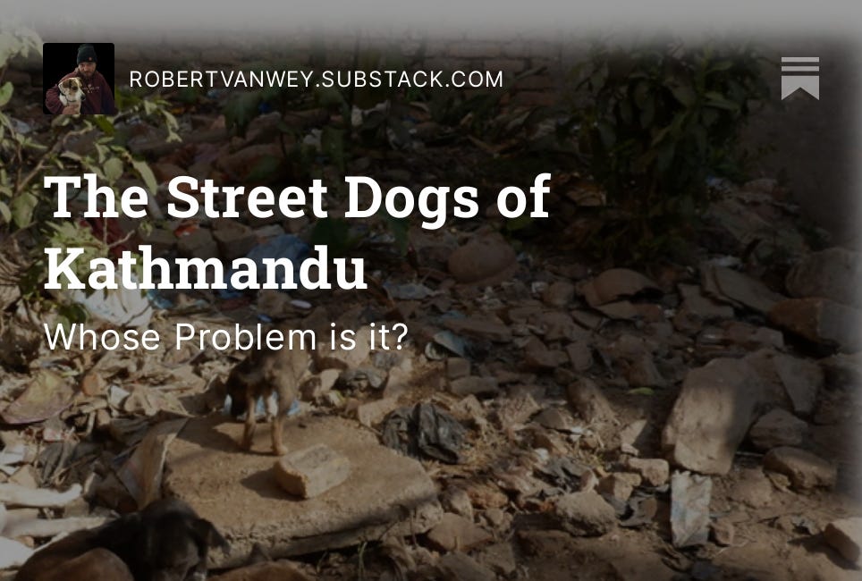 The Street Dogs of Kathmandu