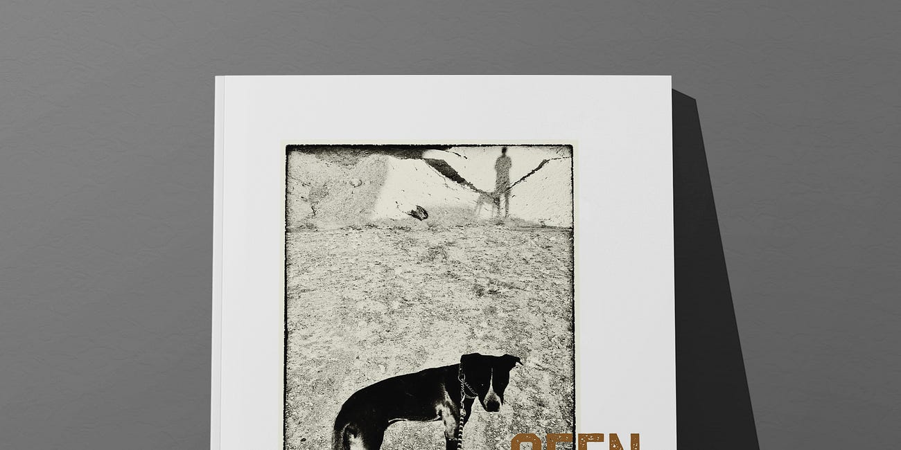 My Newest Book: Seen and Noted
