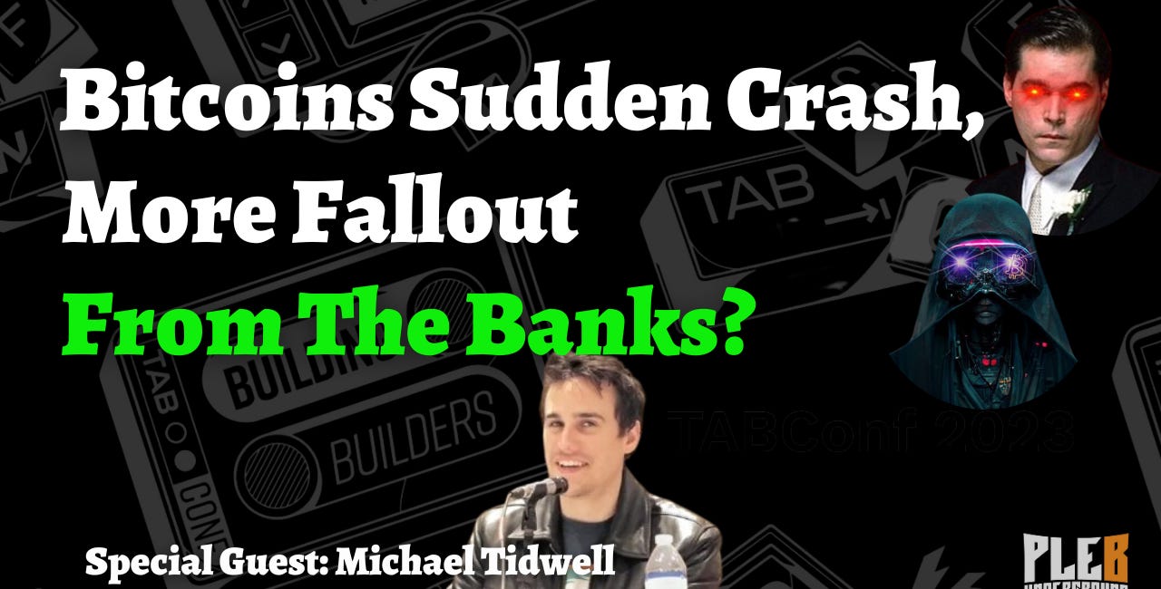 Bitcoins Sudden Crash, More Fallout From The Banks? | Guest: Michael Tidwell | EP38