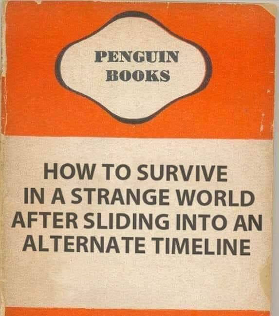 How To Survive In A Strange World After Sliding Into An Alternate Timeline