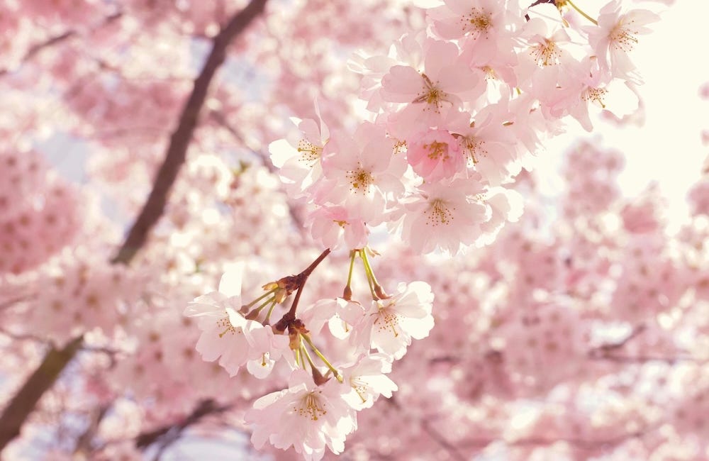 The Best Gluten-Free Events Happening This Spring