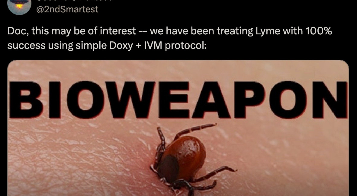 IVERMECTIN and LYME DISEASE - Testimonial and Research