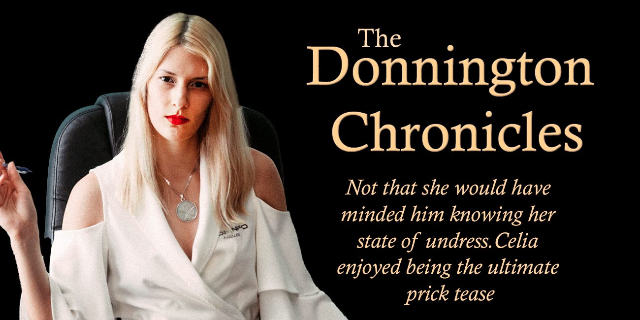 The Donnington Chronicles - Chapter 1 