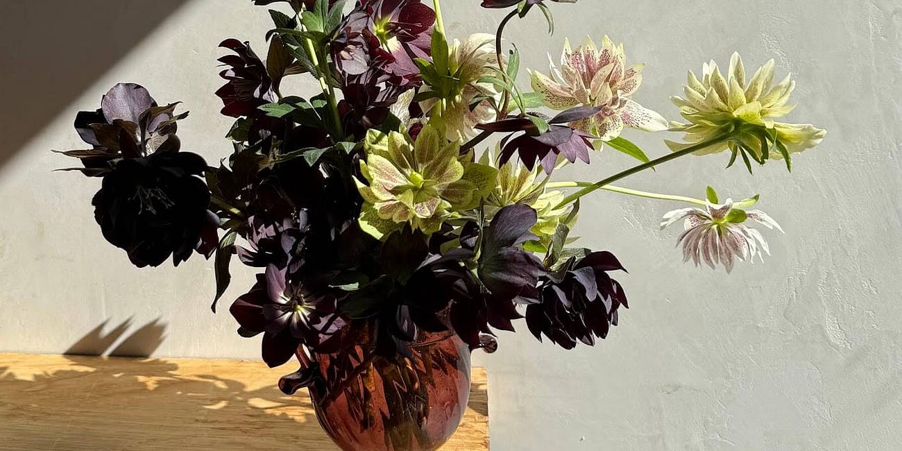 Weekly Recs: Pretty home finds, regency romps, and grocery thrills
