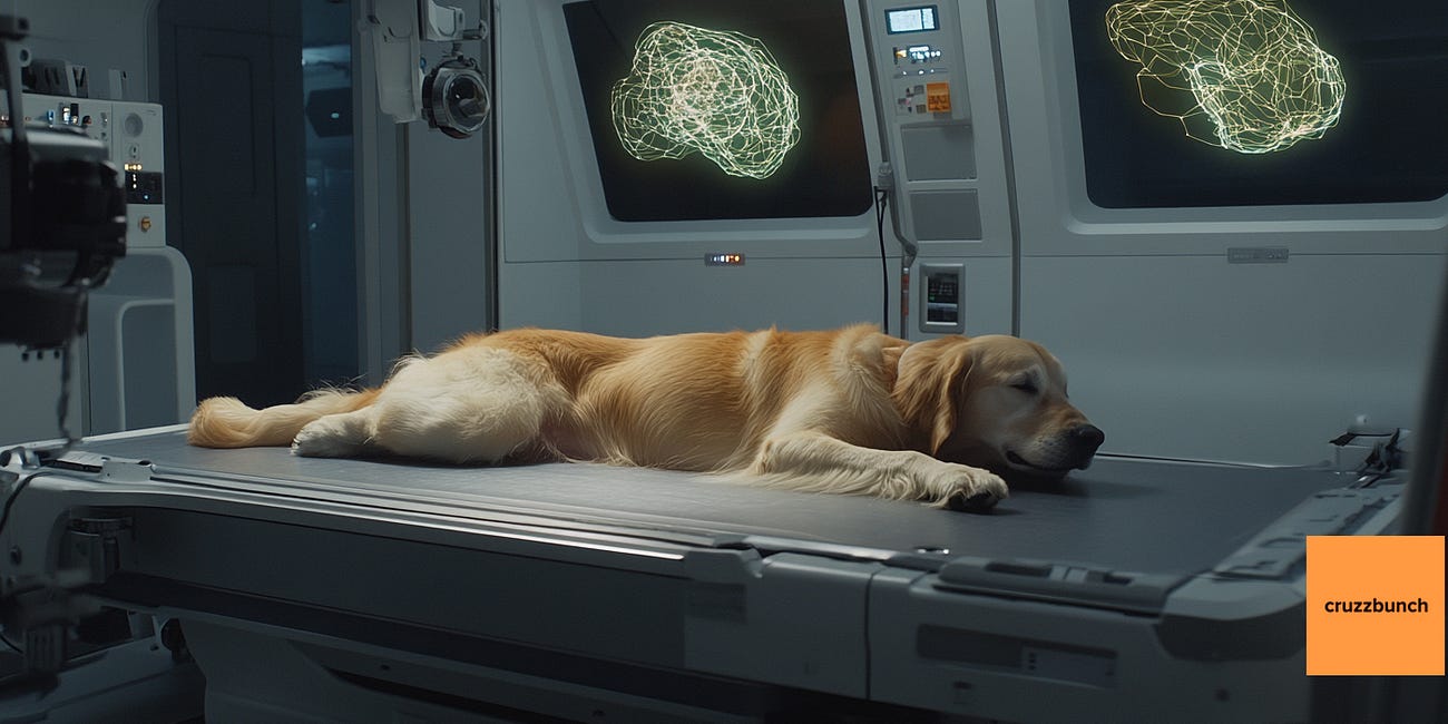 Jake Explains....The Science Behind Digital Consciousness Cutesy's Quantum Pet Revival 