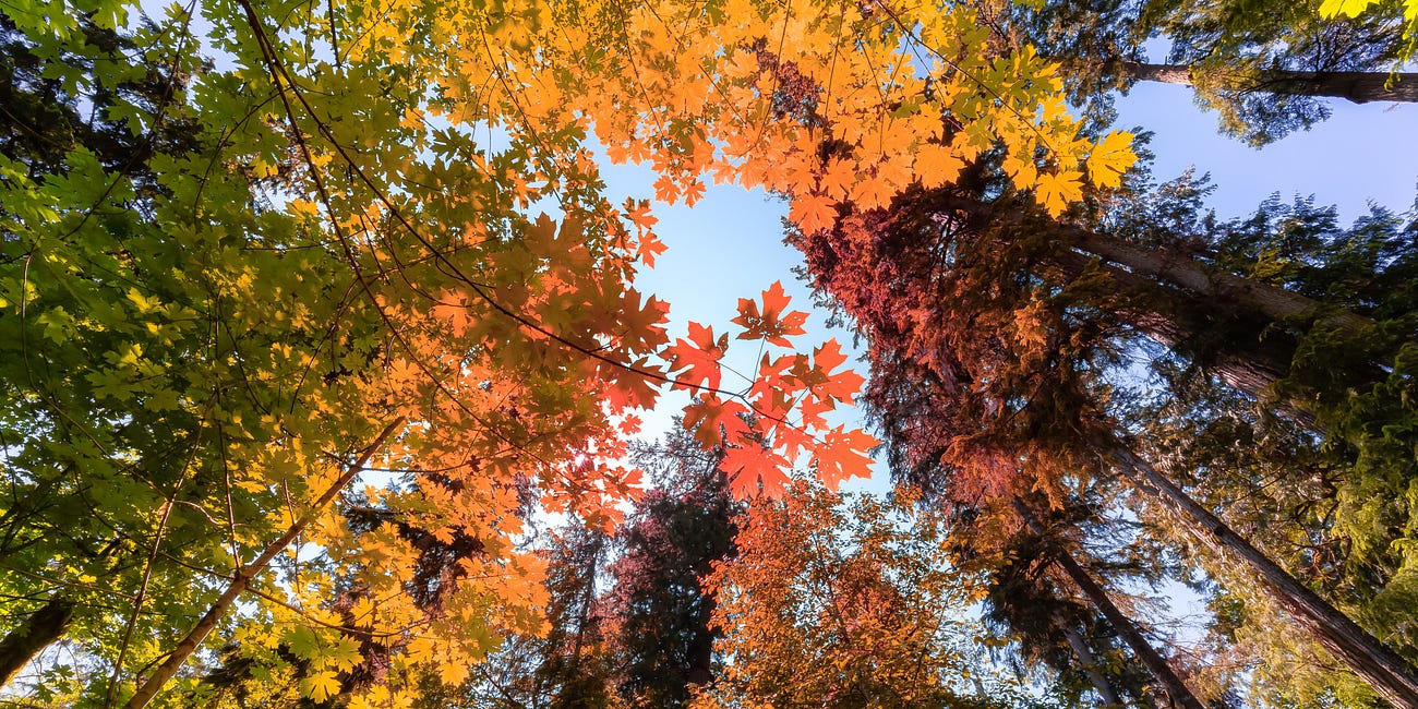 November News