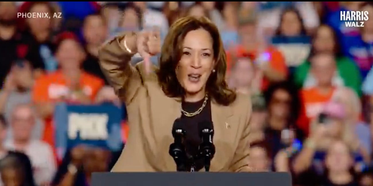 John McCain’s Secret Daughter Vows To Torch His Memory If Kamala Harris Doesn’t Stop Saying Nice Things About Him
