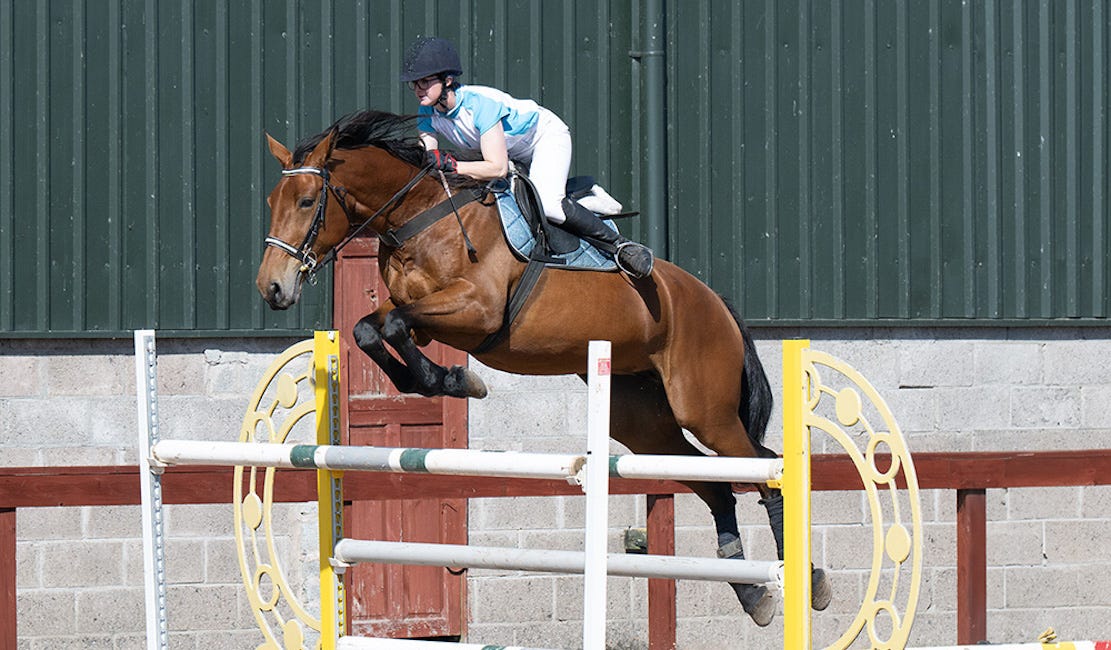SJI horse jumping continues at Portmore