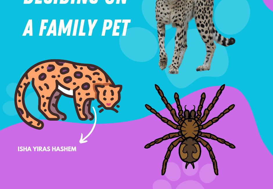 Deciding On A Family Pet