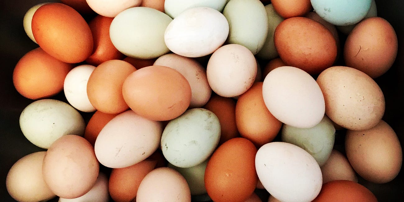 Trump's Egg Policy
