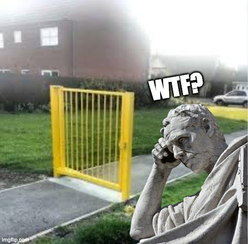 The Fence