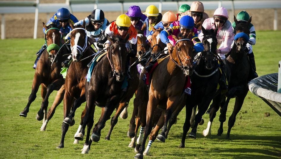 The parable of the horse race