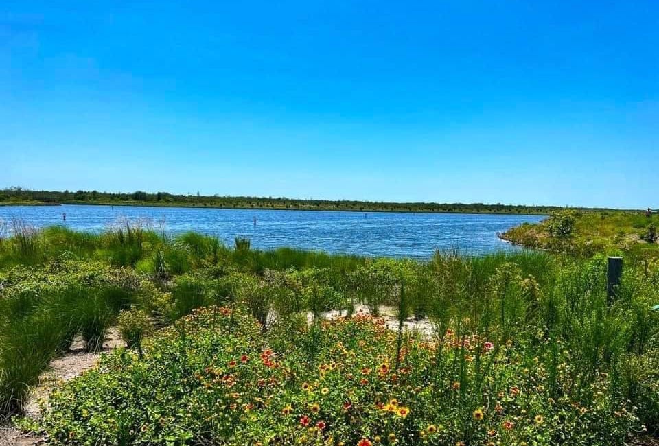 Robinson Preserve: From Farmland to Flourishing Eco-Conservation Refuge