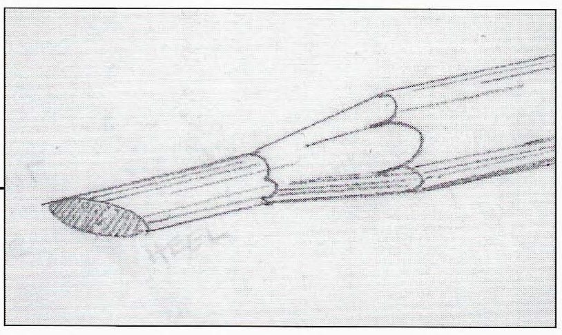 Sai usare la matita temperata a scalpello?