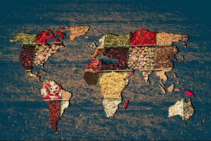 What immigrants do eat