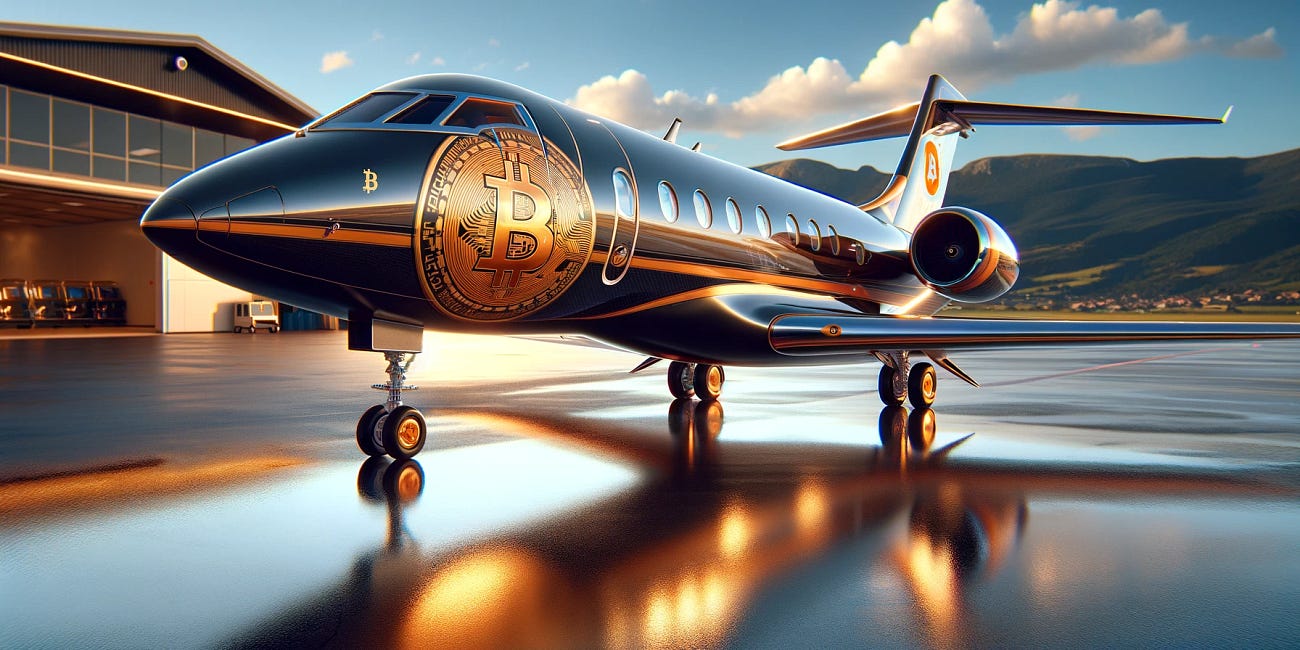 Bitcoin Flight To Safety