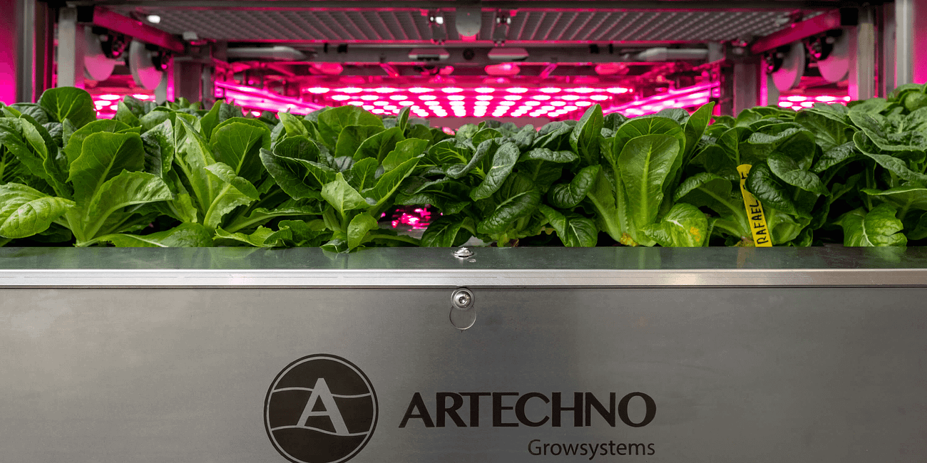 Artechno Growsystems on Navigating AgTech Investments in the Middle East