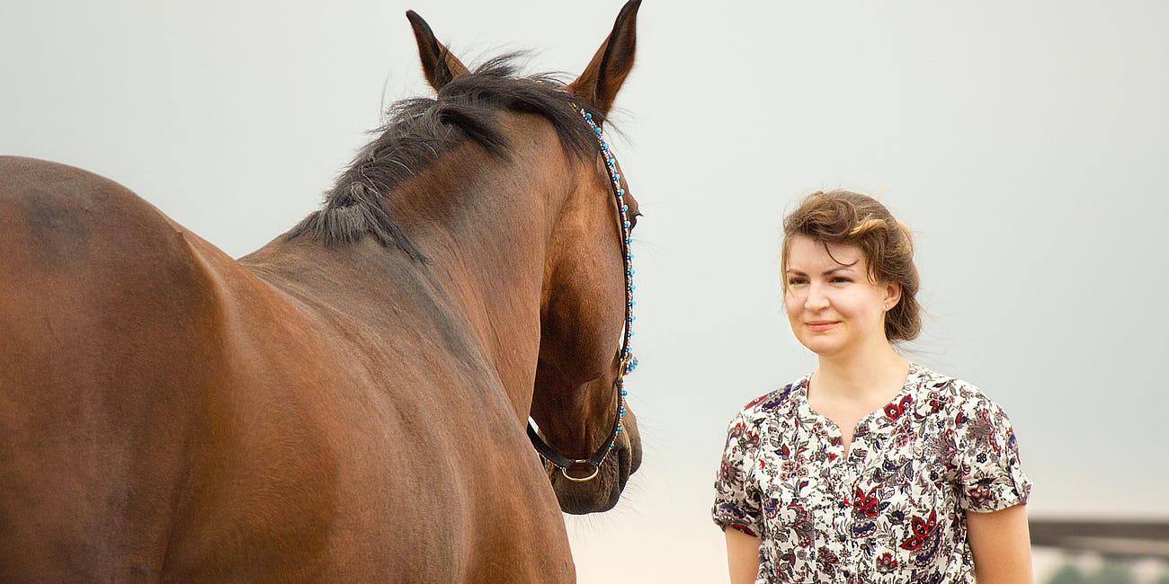 Groundwork and Horses: An Evidence-Based Approach to Training Methods and Human-Horse Relationships 