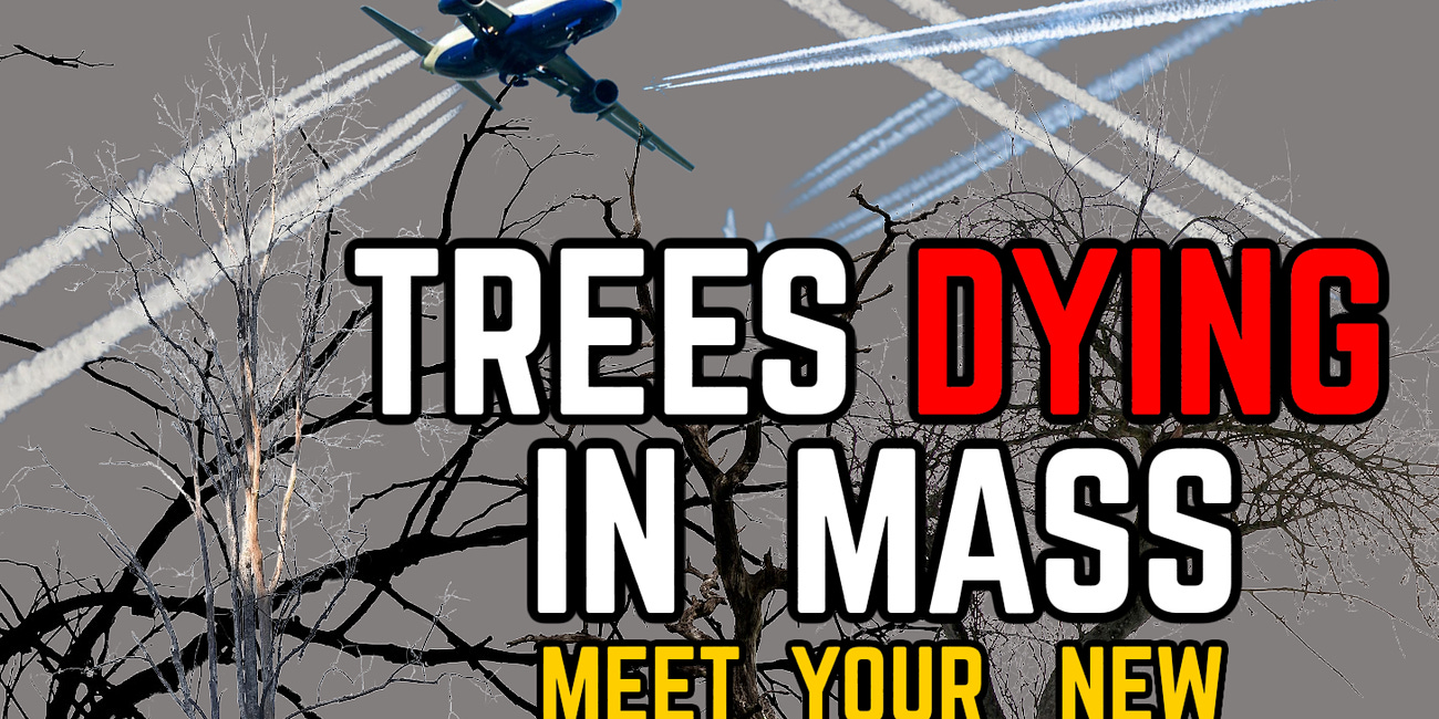 Chemtrails: TREES DYING IN MASS. Meet Your New MECHANICAL TREES. 