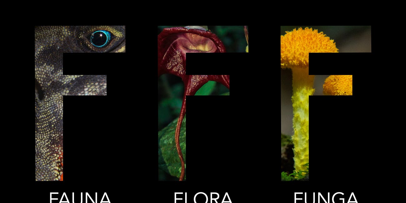Embracing the third F word: Fauna, Flora, and Funga