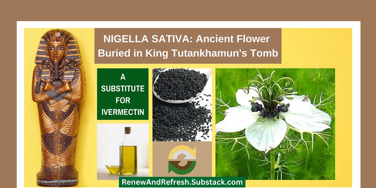 If You Don't Have Ivermectin, Use the Ancient Egyptian Flowering Plant Nigella Sativa, also Known as Black Seed or Black Cumin