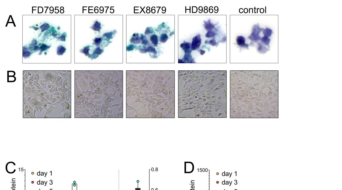 Es wurde nachgewiesen, dass die DNA von BNT162B2 (Comirnaty) in die Zellen eindringt und dort verbleibt