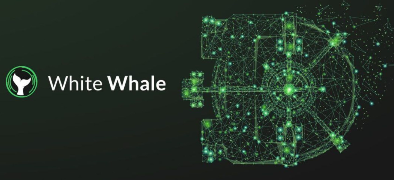 White Whale: Revolutionizing Interchain Arbitrage for the Cosmos Ecosystem