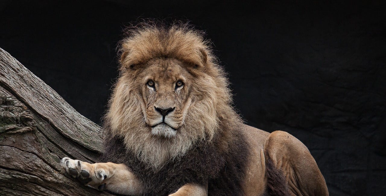 How to Become Sovereign & Ungovernable