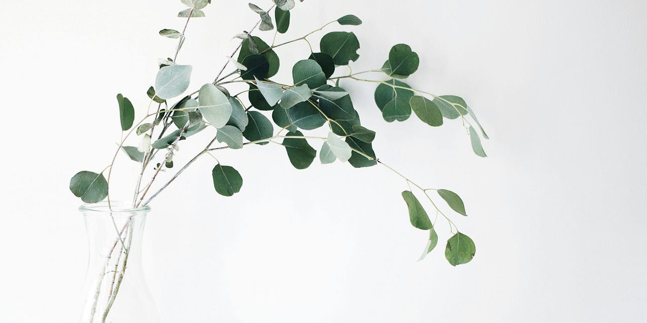 From Manager to Multiplier: Elevate Your Team with SOPA
