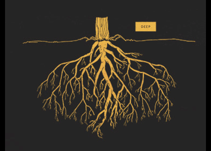 The Deep Roots of Intelligence Differences