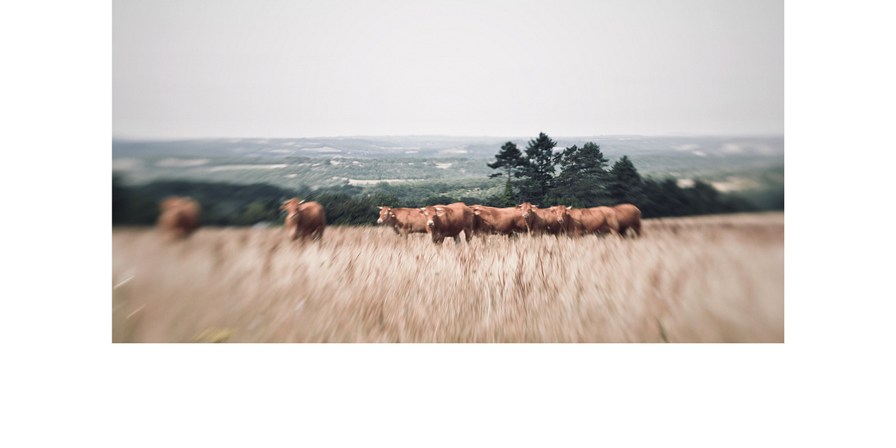 The colour of August…