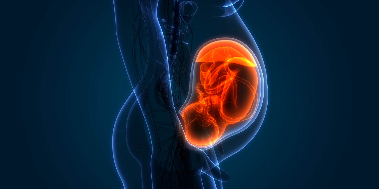 Does Abortion Violate Rights?