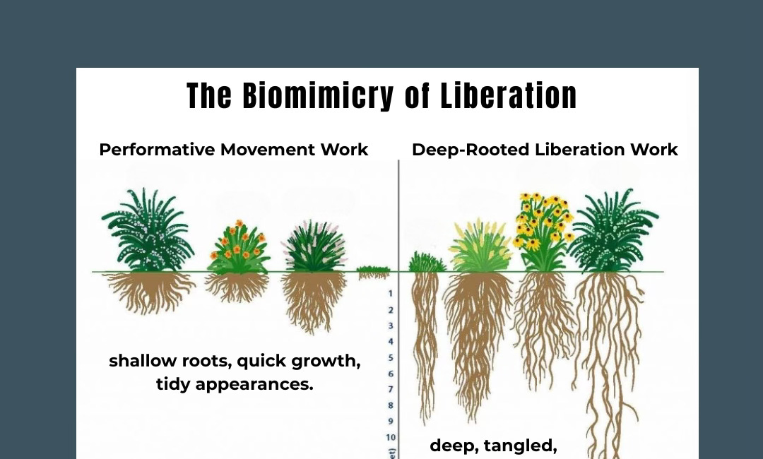 The Bloom is Slow: Honoring Divine Timing in Liberation 