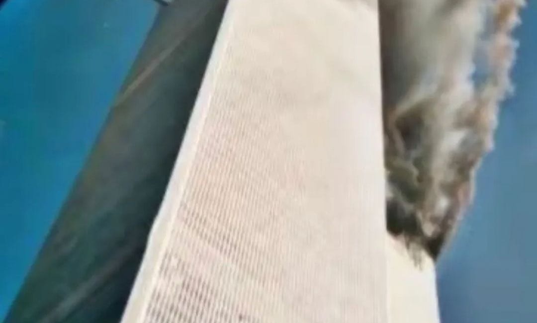 New Second Plane Photograph Emerges Showing the Wing Anomaly 